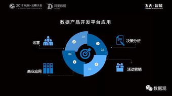 阿里數據服務產品開發及大數據體系實錄 從平臺構建到服務賦能